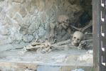PICTURES/Herculaneum - The Other Buried Town/t_Skeletons5.JPG